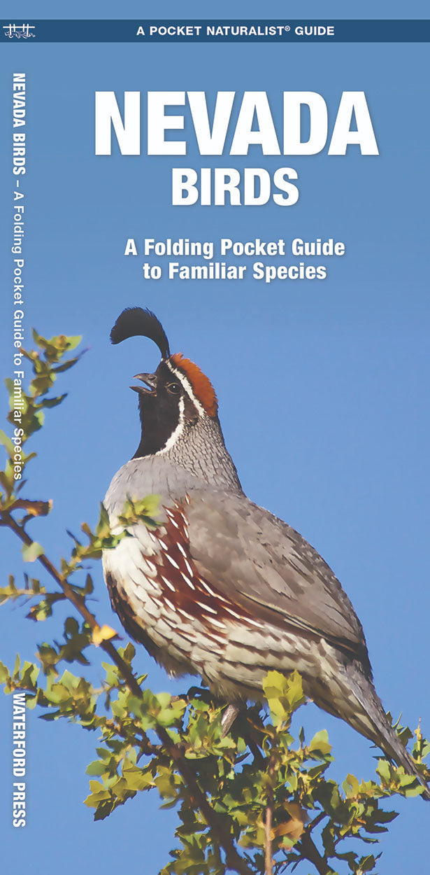 Nevada Birds Pocket Guide