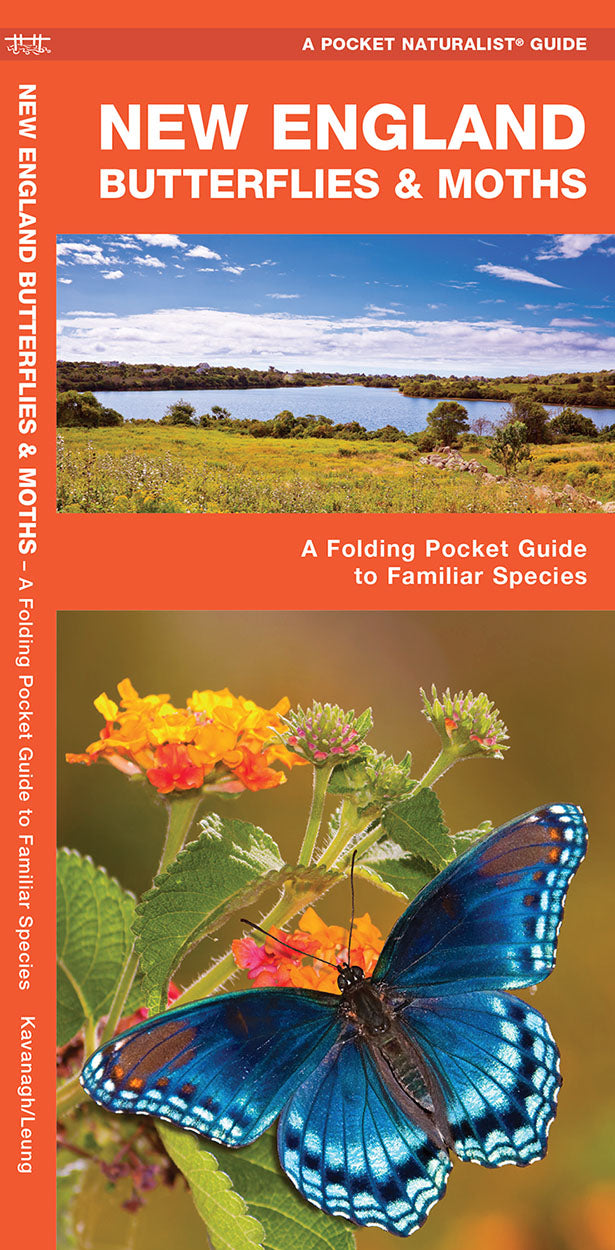 New England Butterflies & Moths Pocket Guide
