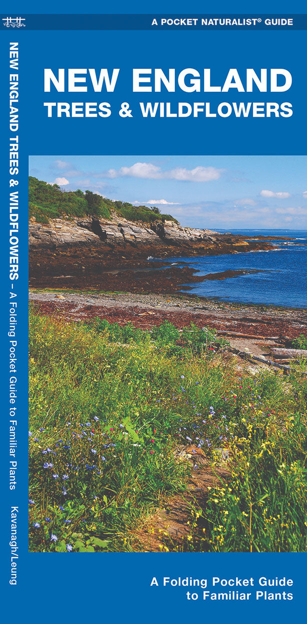 New England Trees & Wildflowers Pocket Guide - Birds Choice