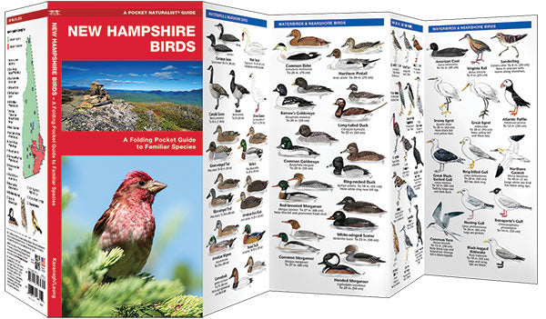 New Hampshire Birds Pocket Guide