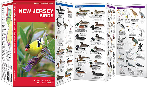 New Jersey Birds Pocket Guide - Birds Choice