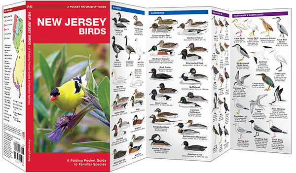 New Jersey Birds Pocket Guide