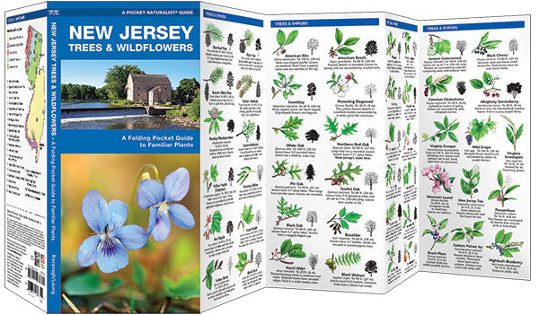 New Jersey Trees &amp; Wildflowers Pocket Guide - Birds Choice
