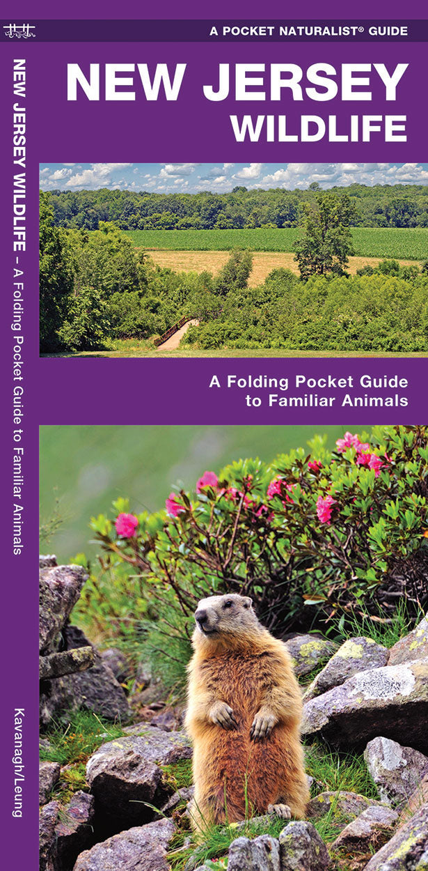 New Jersey Wildlife Pocket Guide - Birds Choice