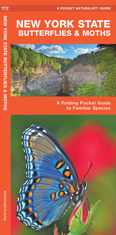New York State Butterflies & Moths Pocket Guide