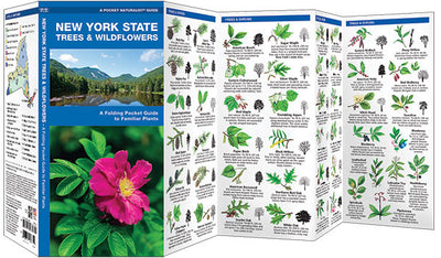 New York State Trees & Wildflowers Pocket Guide