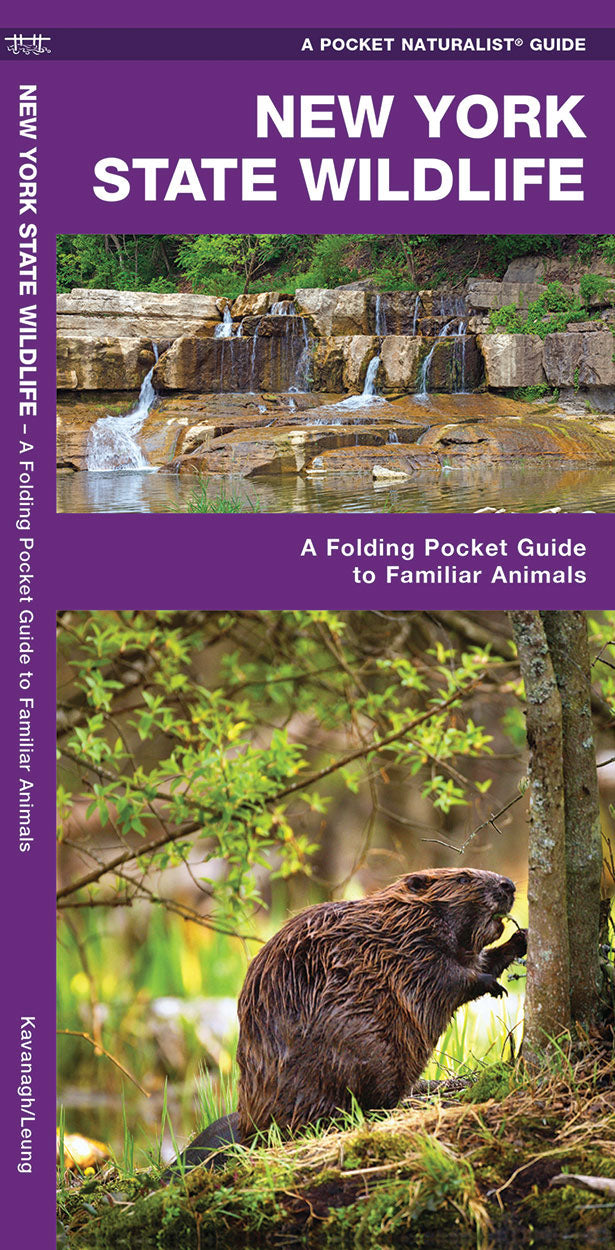 New York State Wildlife Pocket Guide