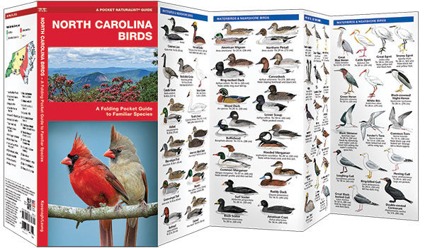 North Carolina Birds Pocket Guide - Birds Choice