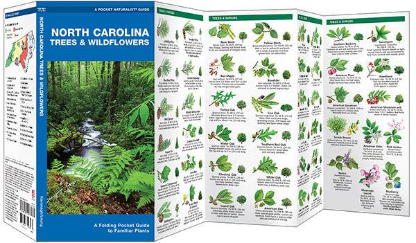 North Carolina Trees &amp; Wildflowers Pocket Guide - Birds Choice