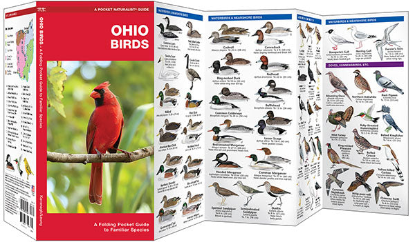 Ohio Birds Pocket Guide