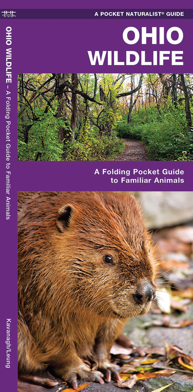 Ohio Wildlife Pocket Guide