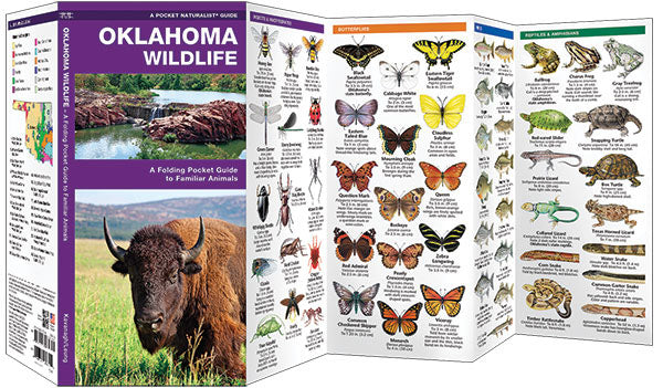Oklahoma Wildlife Pocket Guide - Birds Choice