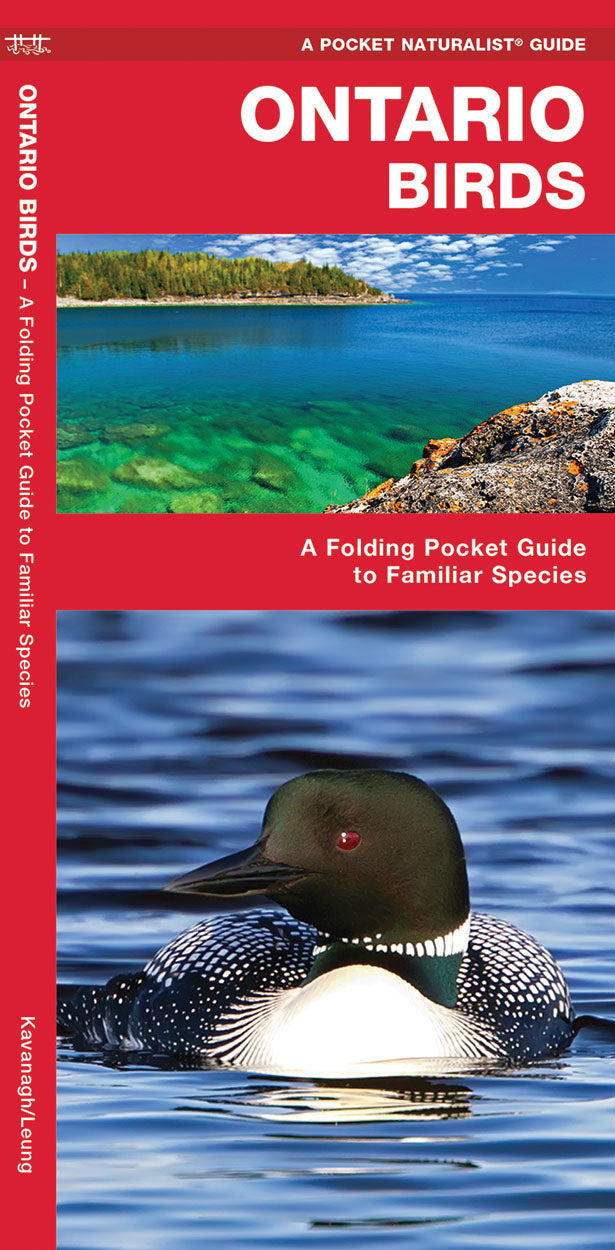 Ontario Birds Pocket Guide - Birds Choice