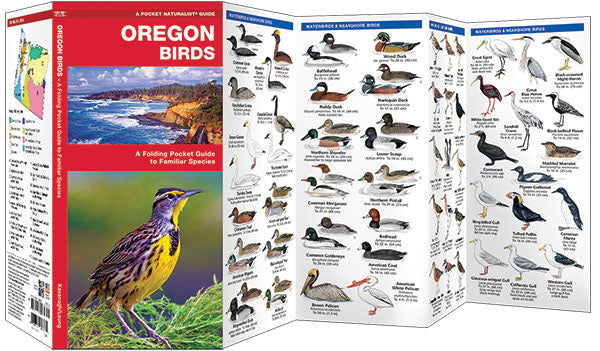 Oregon Birds Pocket Guide