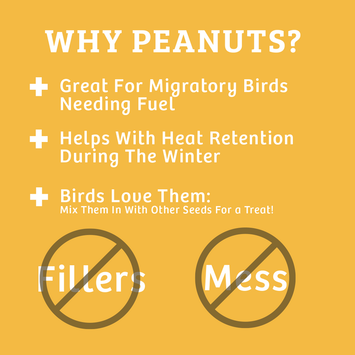 Shelled Peanuts - 5 lbs. - Birds Choice