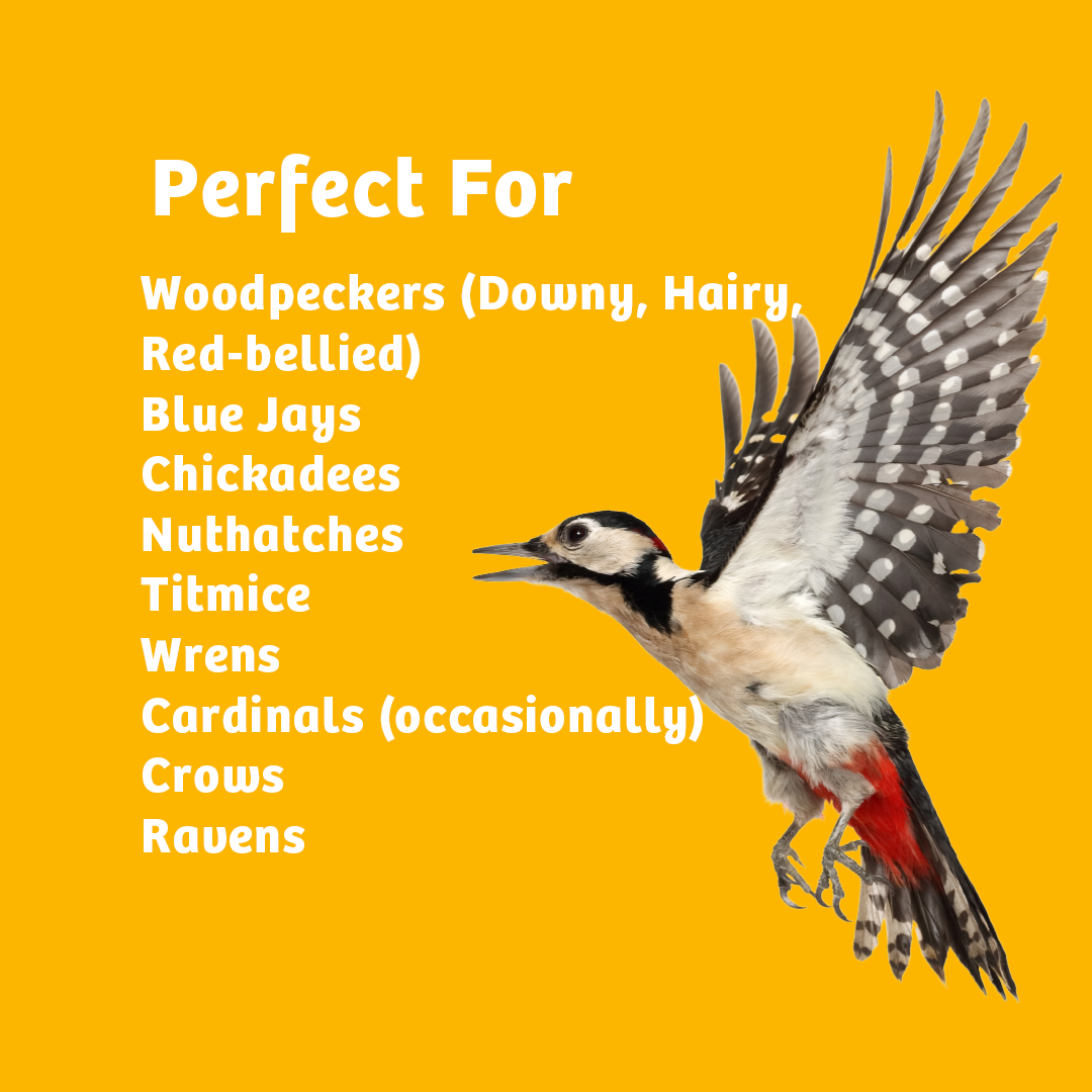 Shelled Peanuts - 5 lbs. - Birds Choice
