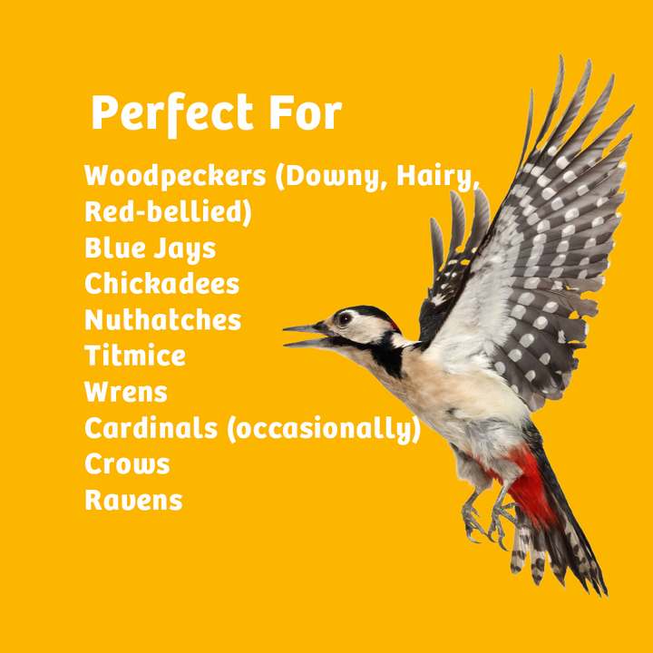 Shelled Peanuts - 5 lbs. - Birds Choice