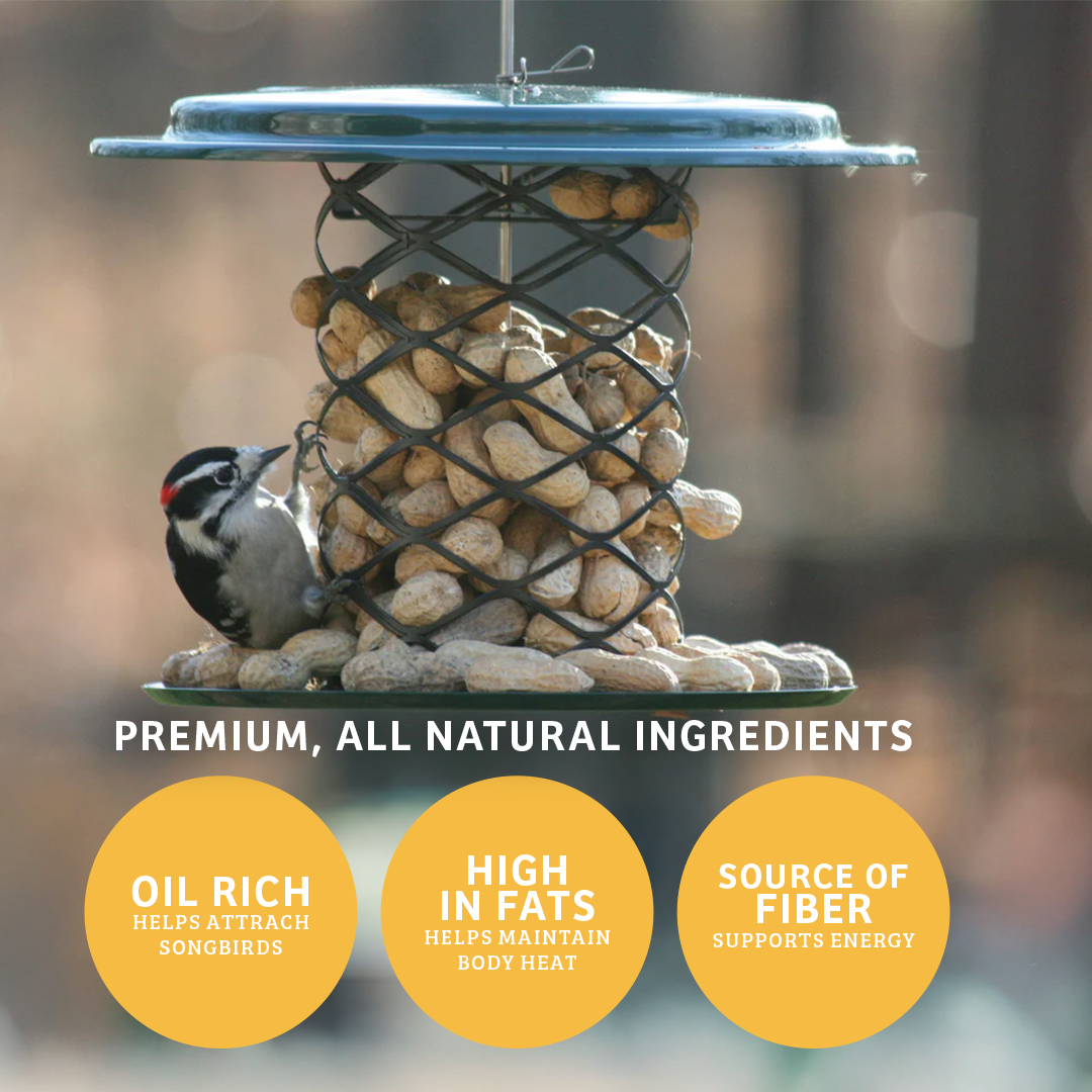 In Shell Peanuts - 10 lbs. - Birds Choice