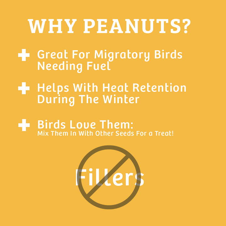 In Shell Peanuts - 10 lbs. - Birds Choice