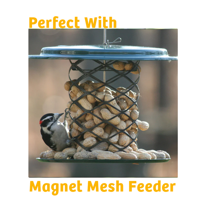 In Shell Peanuts - 10 lbs. - Birds Choice