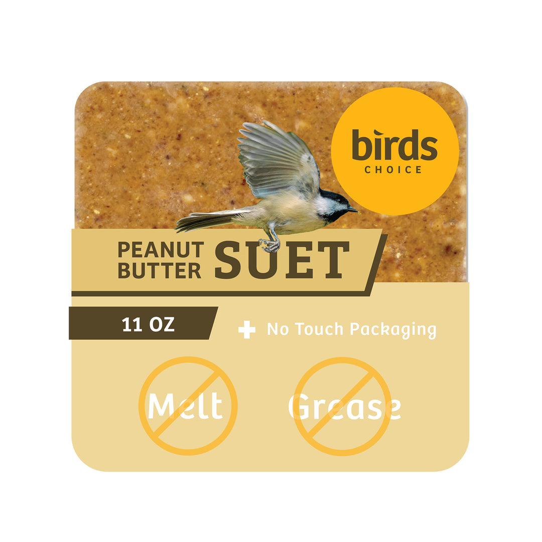 Peanut No Melt Suet - Birds Choice
