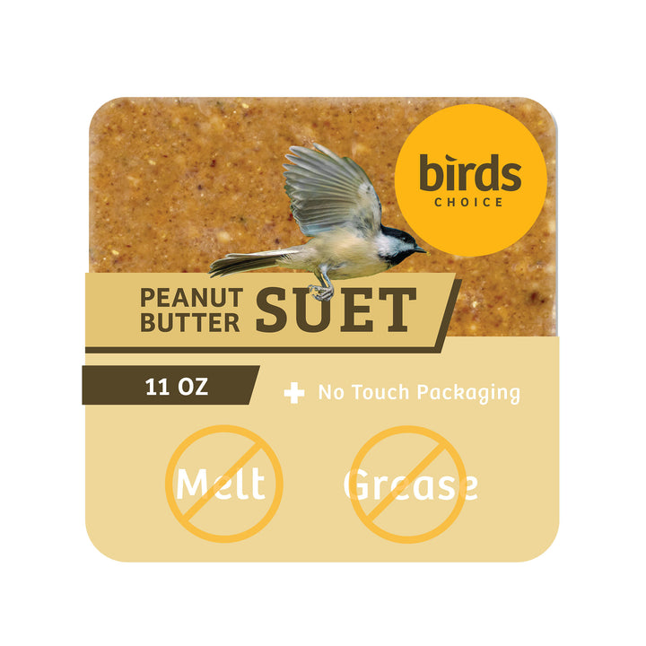 Peanut No Melt Suet - Birds Choice