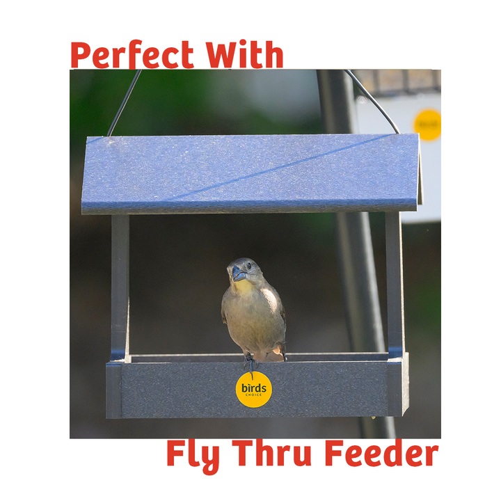 Peanut No Melt Suet - Birds Choice