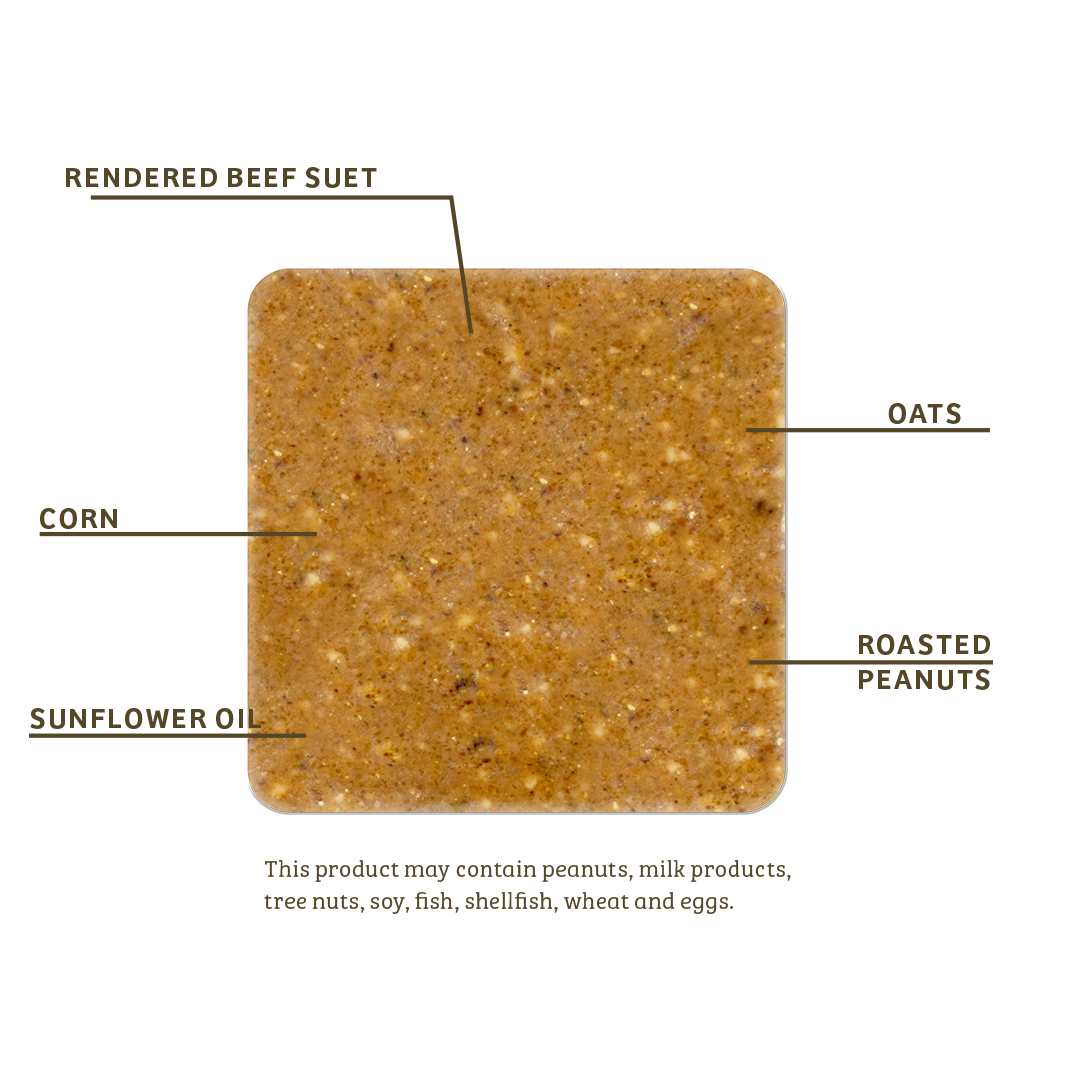Peanut No Melt Suet - Birds Choice