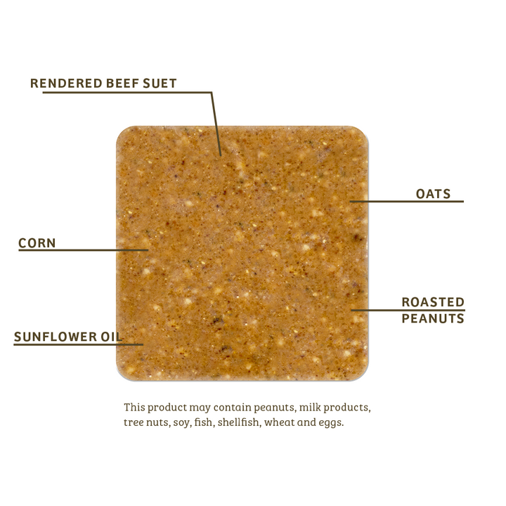 PEANUT NO MELT SUET - 12 PACK - Birds Choice