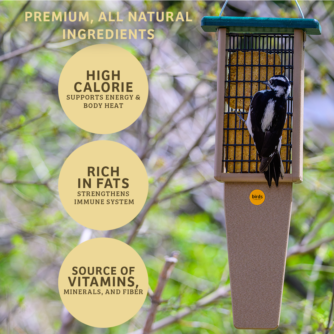 Peanut No Melt Suet - Birds Choice