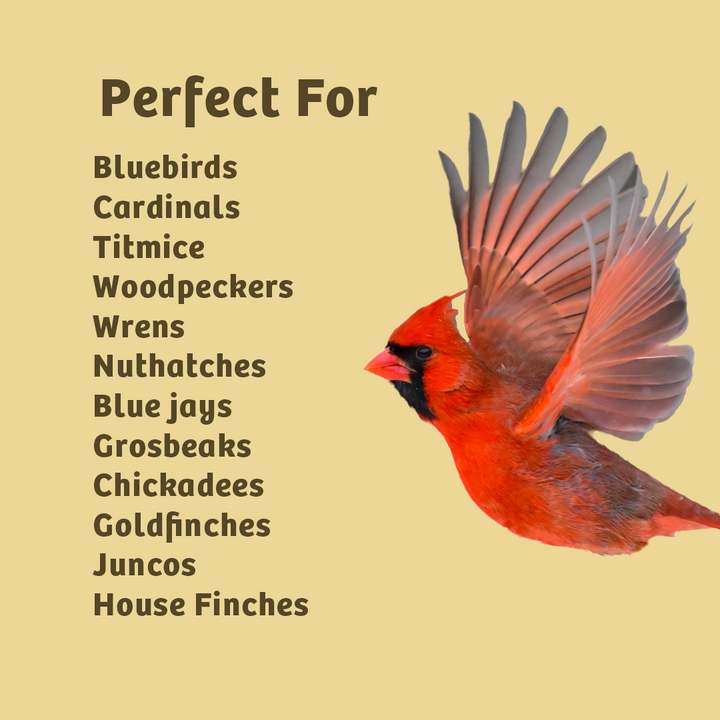Peanut No Melt Suet - Birds Choice