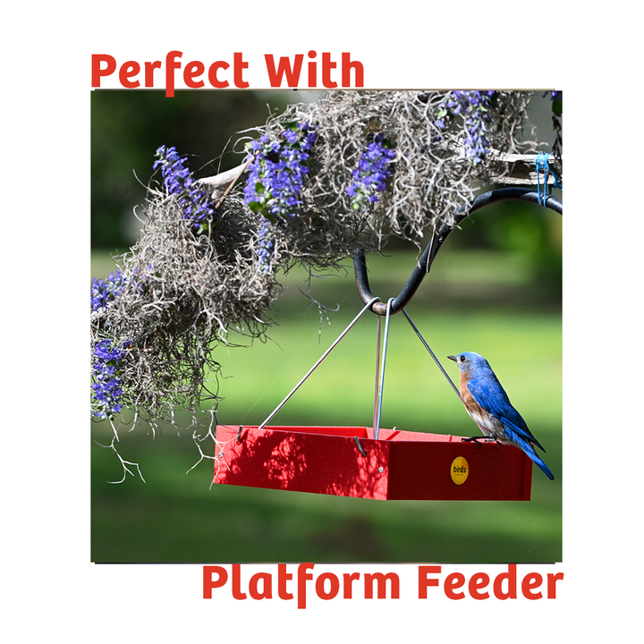 Peanut No Melt Suet - Birds Choice