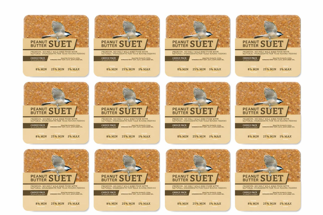 PEANUT NO MELT SUET - 12 PACK - Birds Choice