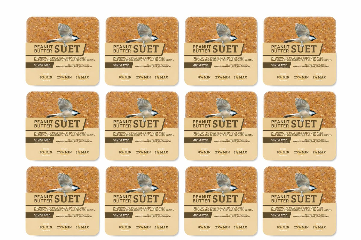 PEANUT NO MELT SUET - 12 PACK - Birds Choice