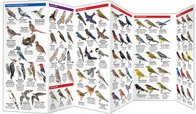 Pennsylvania Birds Pocket Guide