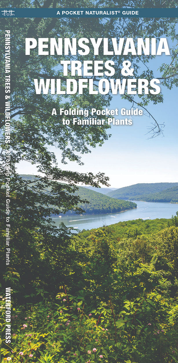 Pennsylvania Trees & Wildflowers Pocket Guide