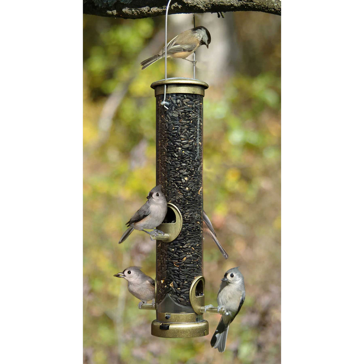 Aspects Quick Clean - Brass Bird Seed Tube Feeder - Medium - Birds Choice