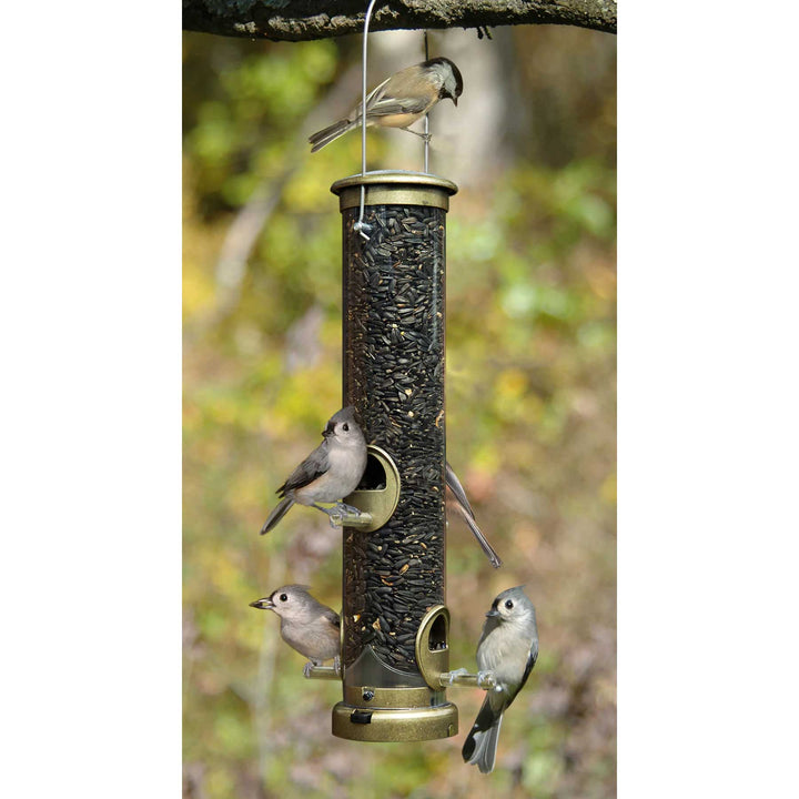 Aspects Quick Clean - Brass Bird Seed Tube Feeder - Medium - Birds Choice
