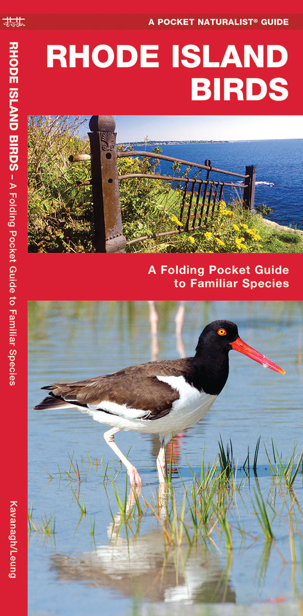 Rhode Island Birds Pocket Guides