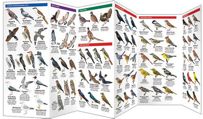 Rhode Island Birds Pocket Guides