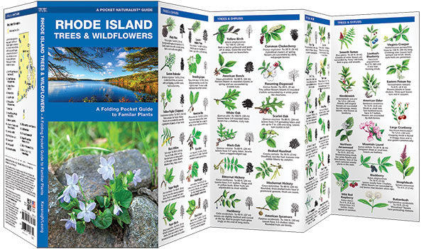 Rhode Island Trees &amp; Wildflowers Pocket Guide - Birds Choice
