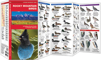 Rocky Mountain Birds Pocket Guide
