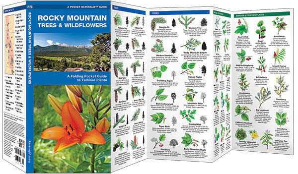Rocky Mountain Trees &amp; Wildflowers Pocket Guide - Birds Choice