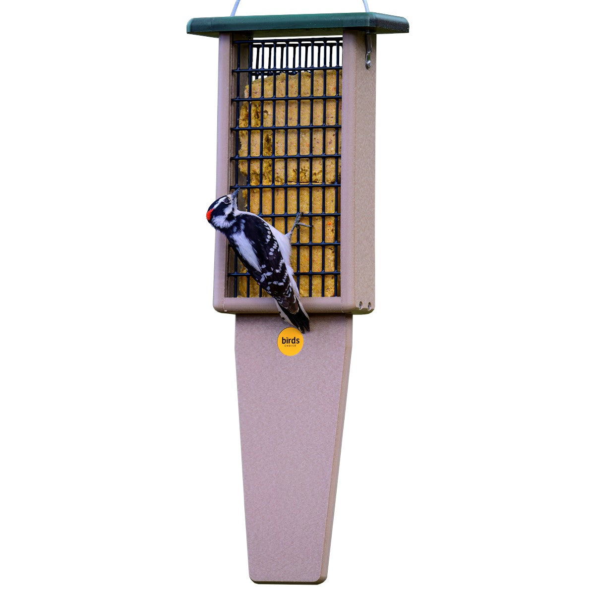 Suet Feeder with Tail Prop for Two Cakes in Taupe and Green Recycled Plastic