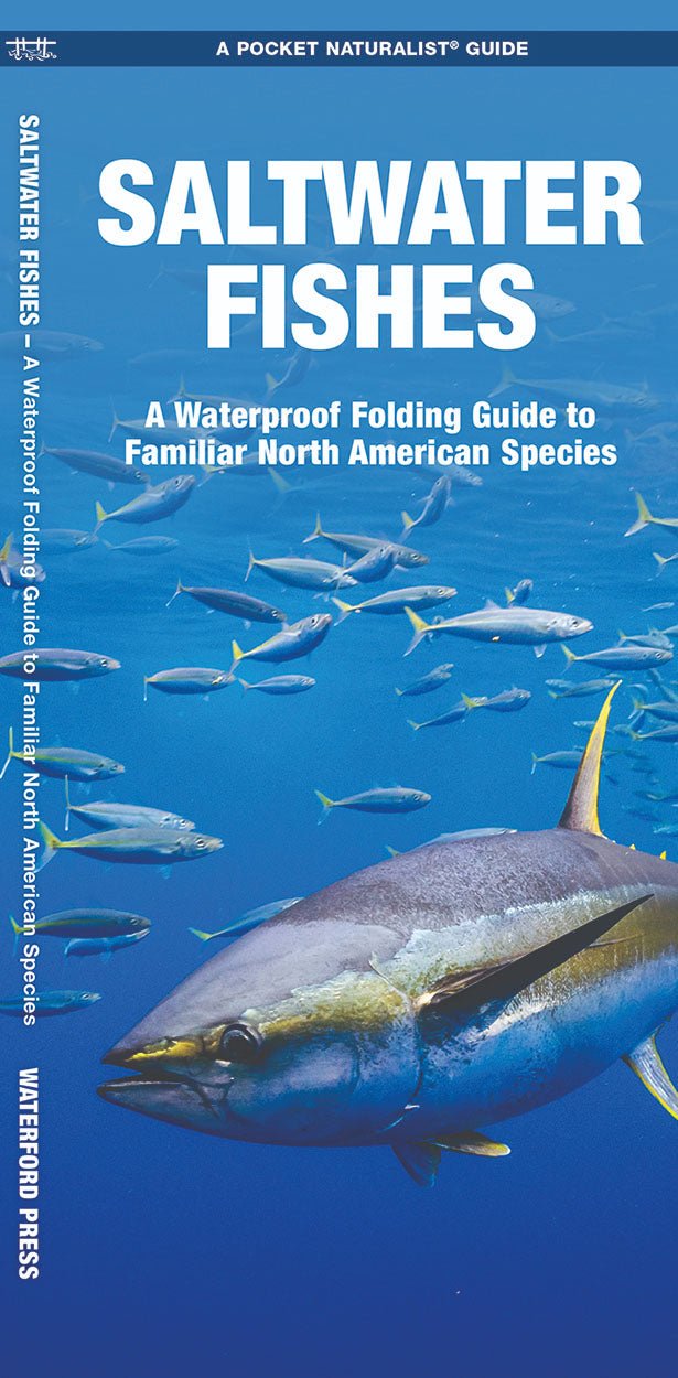 Saltwater Fishes Pocket Guide - Birds Choice