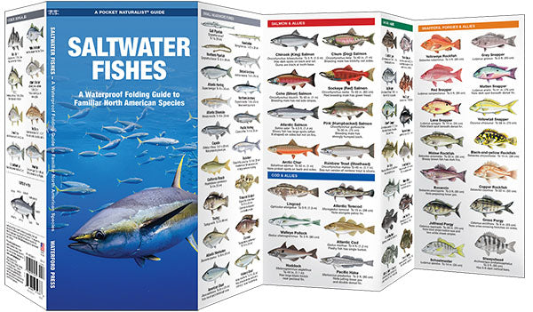 Saltwater Fishes Pocket Guide - Birds Choice