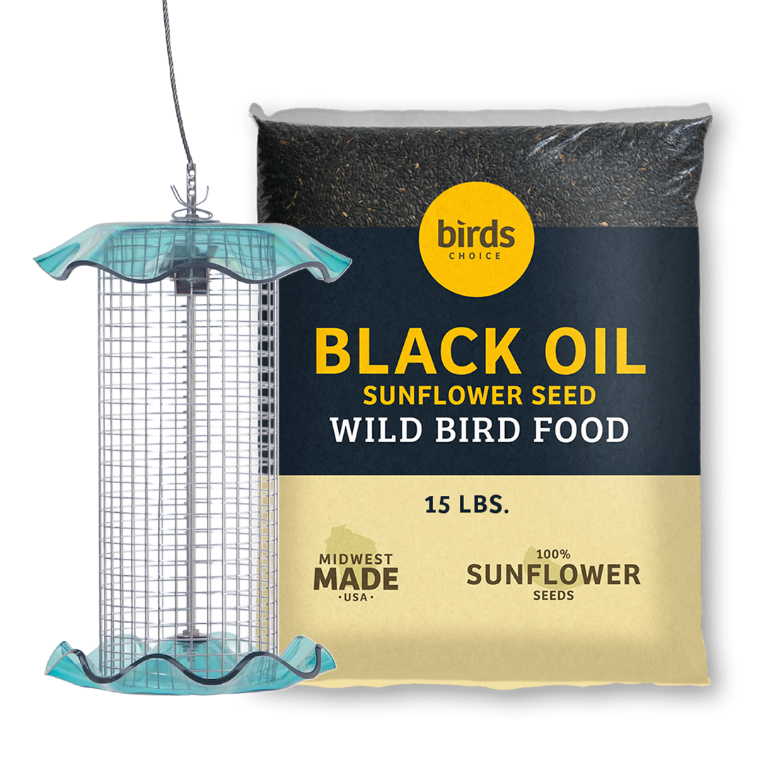 Blue Songbird Seed Feeder Bundle - Birds Choice