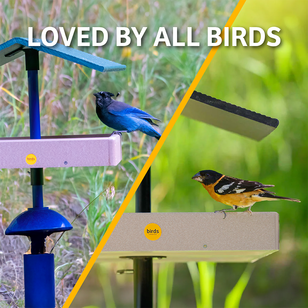 Seed Catcher Platform Bird Feeder Pole Mount in Taupe Recycled Plastic Large - Birds Choice