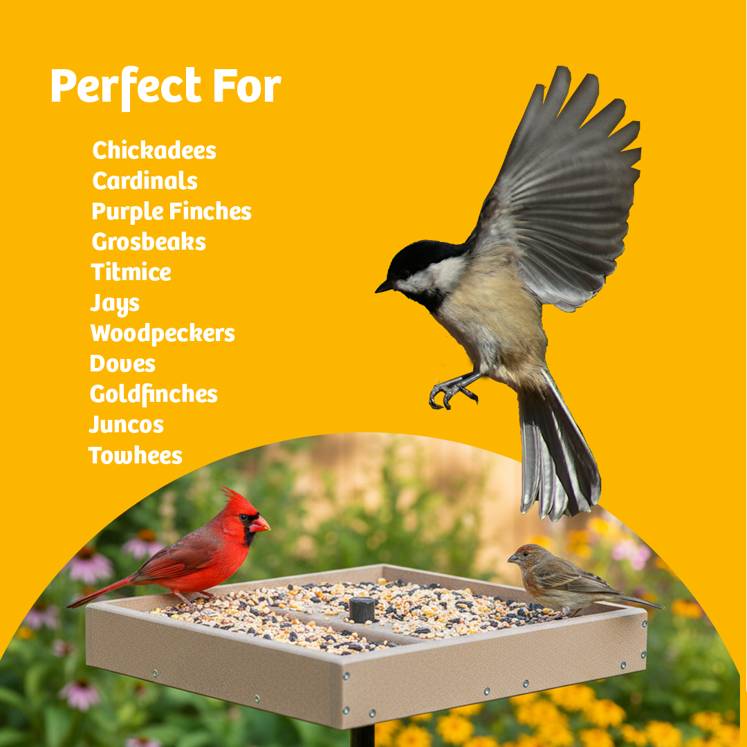 Seed Catcher Platform Bird Feeder Pole Mount in Taupe Recycled Plastic Large - Birds Choice