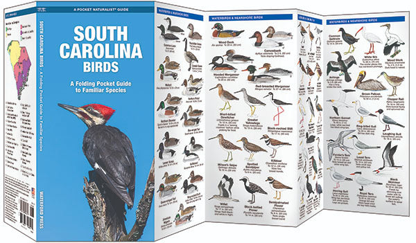 South Carolina Birds Pocket Guide - Birds Choice